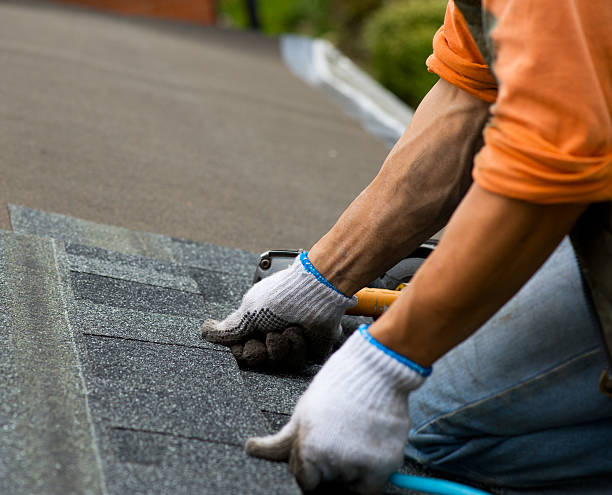 Best Roof Repair Services  in Divernon, IL